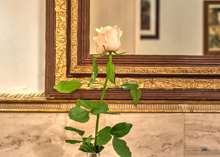 بيت ضيافة Residenza Corte Molin البندقية