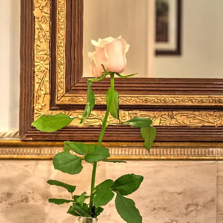 ゲストハウス レジデンツァ コルテ モーリン ヴェネツィア